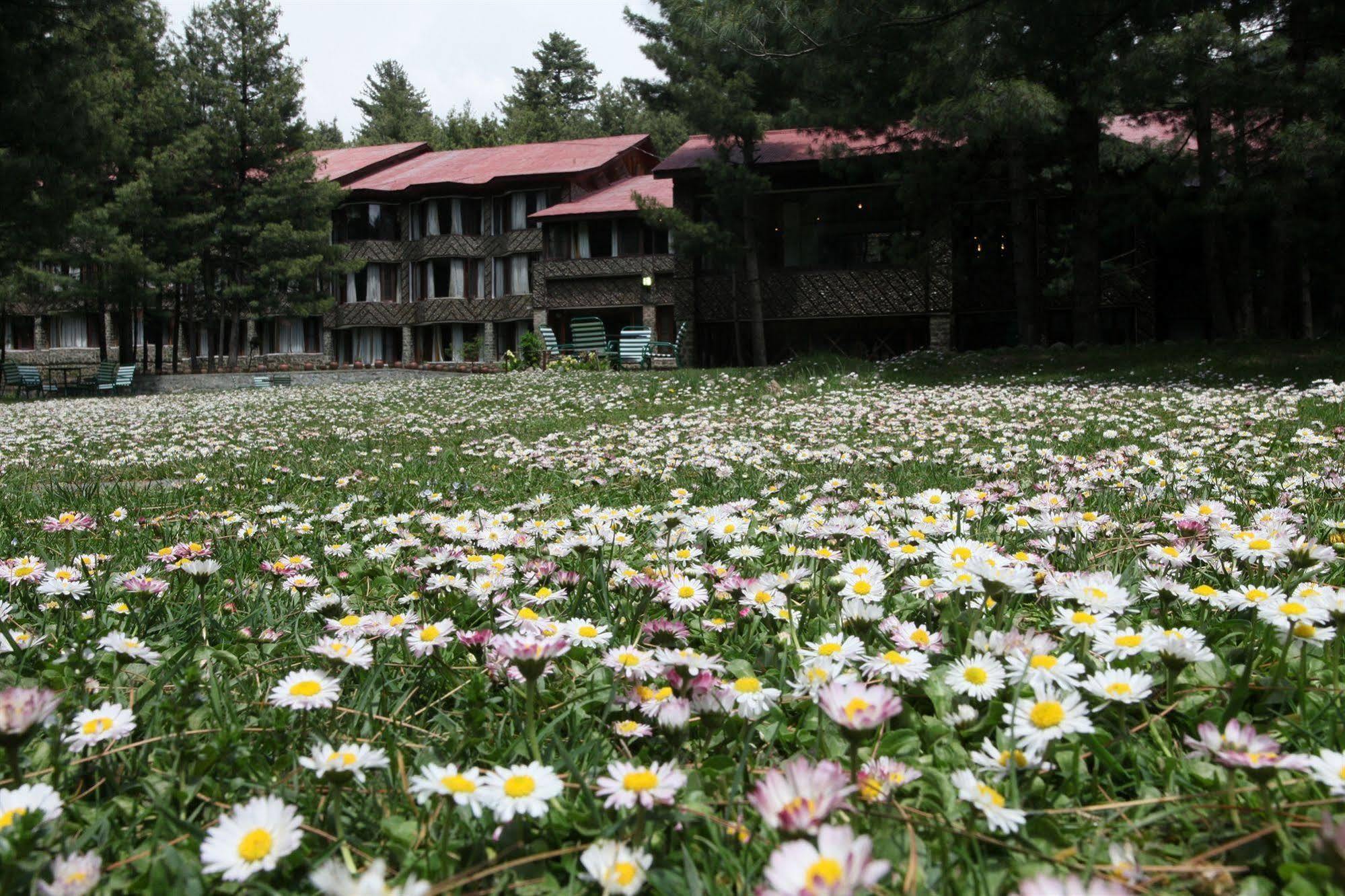 Hotel Senator Pine N Peak Pahalgām Exterior foto